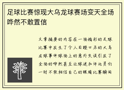 足球比赛惊现大乌龙球赛场变天全场哗然不敢置信