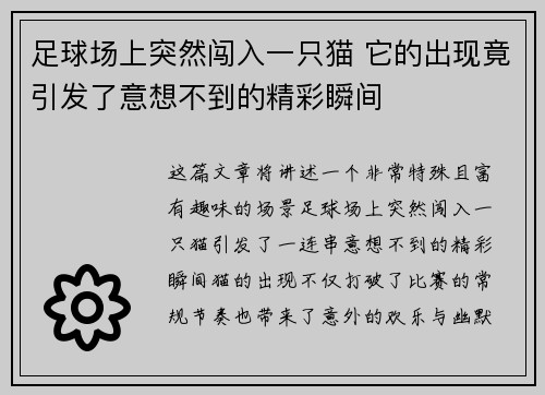 足球场上突然闯入一只猫 它的出现竟引发了意想不到的精彩瞬间
