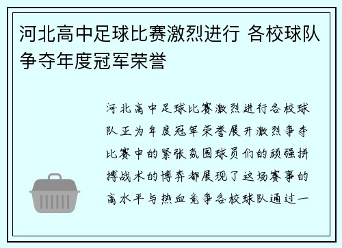 河北高中足球比赛激烈进行 各校球队争夺年度冠军荣誉
