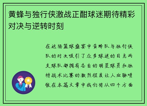 黄蜂与独行侠激战正酣球迷期待精彩对决与逆转时刻