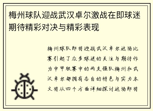 梅州球队迎战武汉卓尔激战在即球迷期待精彩对决与精彩表现