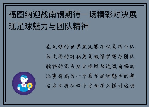 福图纳迎战南锡期待一场精彩对决展现足球魅力与团队精神