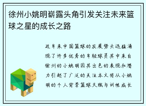 徐州小姚明崭露头角引发关注未来篮球之星的成长之路