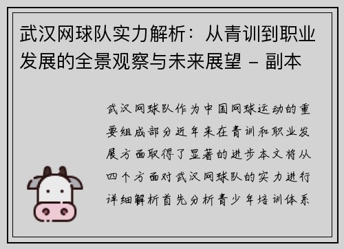 武汉网球队实力解析：从青训到职业发展的全景观察与未来展望 - 副本